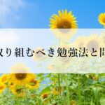 【中学数学】高校受験で夏(6月,7月,8月)に取り組むべき参考書と勉強法